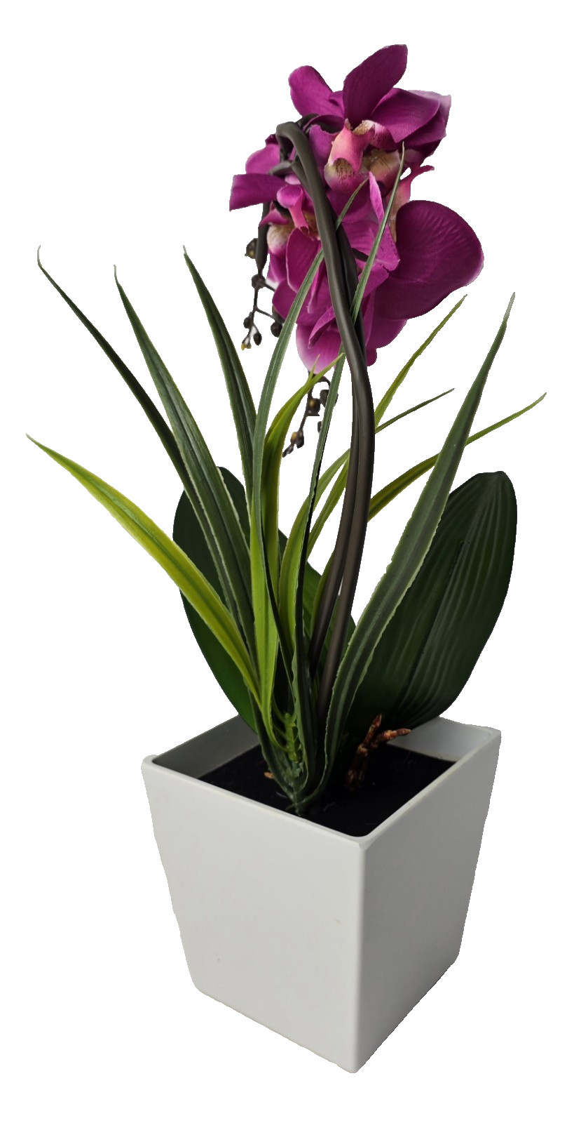 NEW Homeseasons Artificial Orchid w/ LED Lights & Timer 16″ Tall Original Box