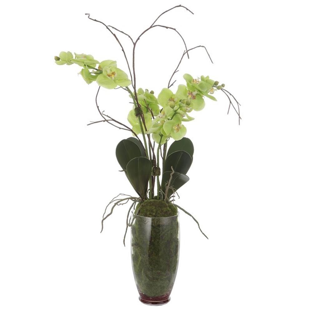 Maklaine Contemporary Polyester Polyfoam and Plastic Orchid in Green