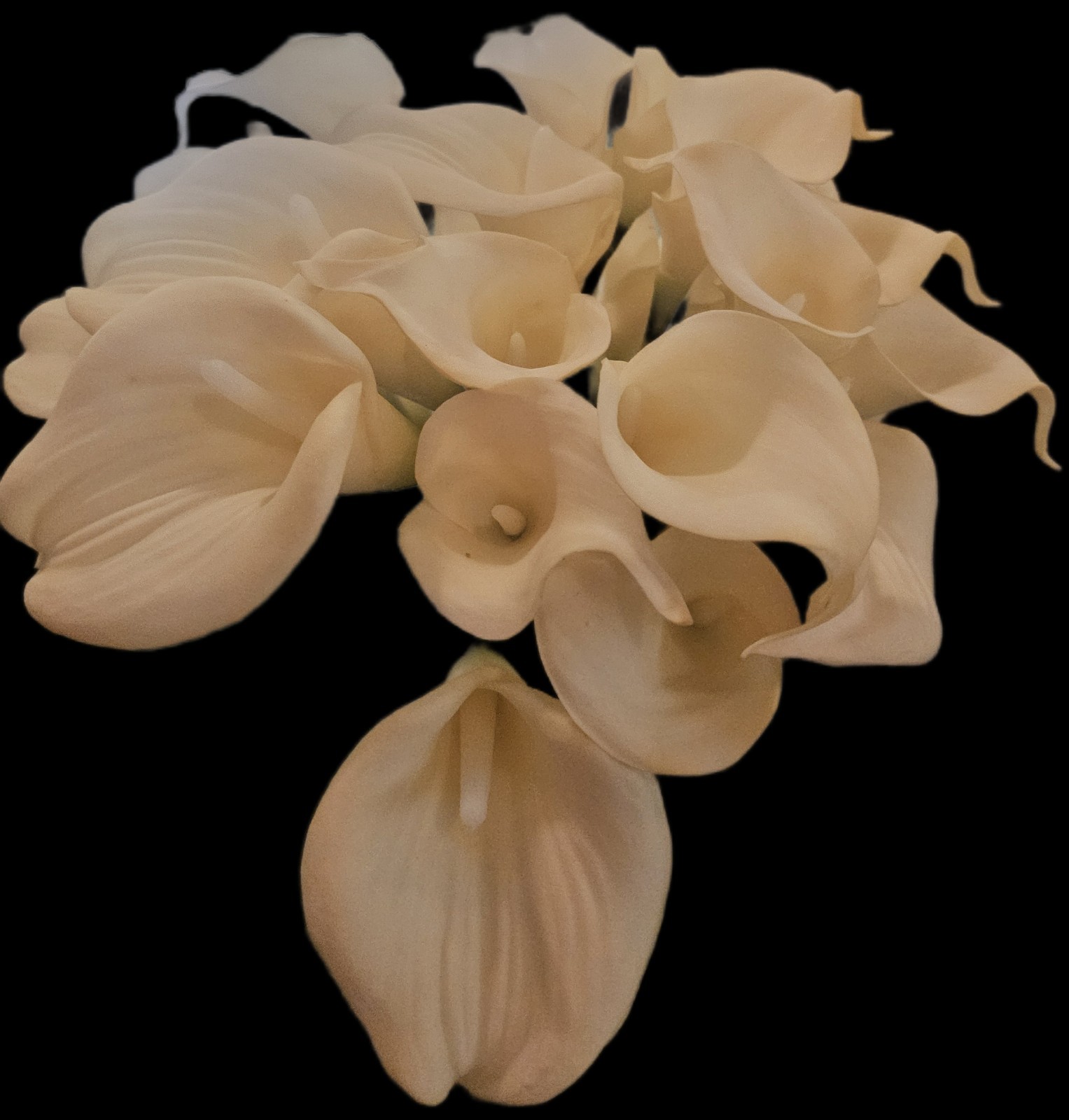 Calla Lillies: 26 pcs, life-like, latex.