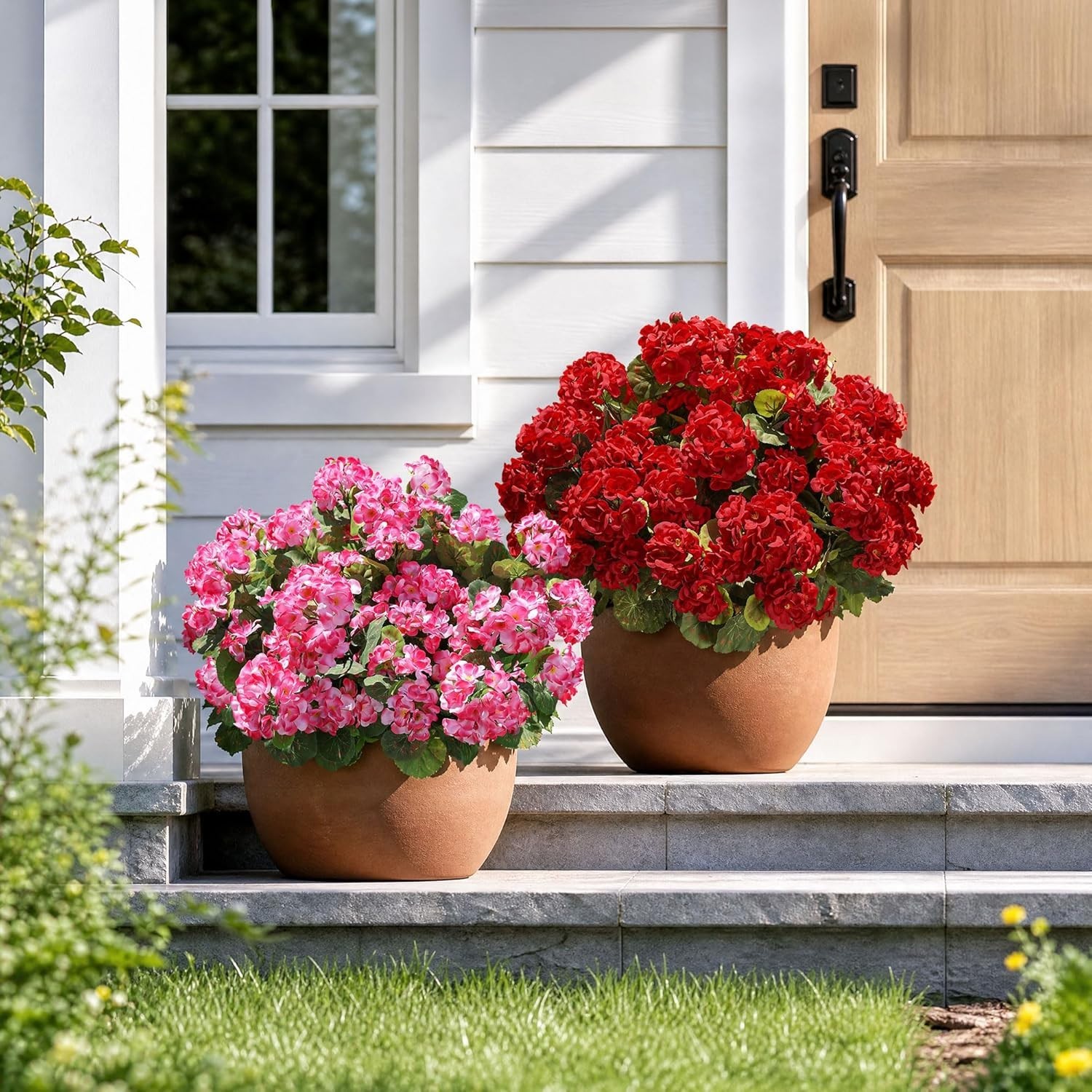 6 Bundles of Waterproof Red Geraniums – Perfect for All Seasons