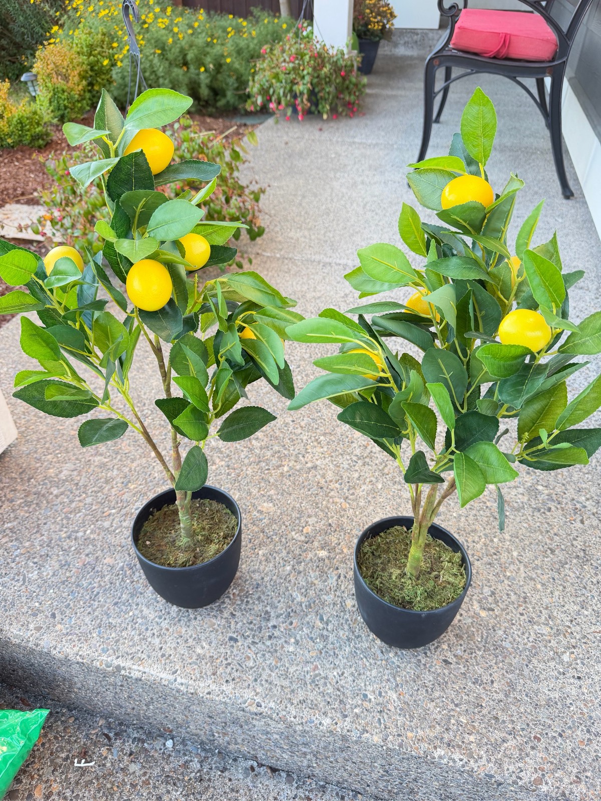 Home Flourish Artificial Lemon Tree Set Faux Citrus Plant Home Decor