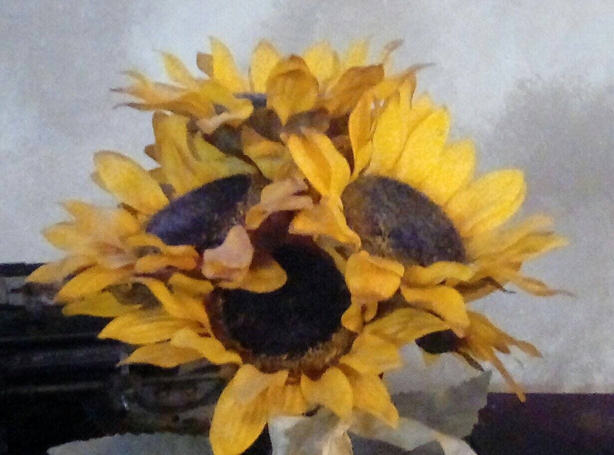 Vintage Silk Daisies in Pots, 1980s With Rafia Ties, 15.5 Inches Tall