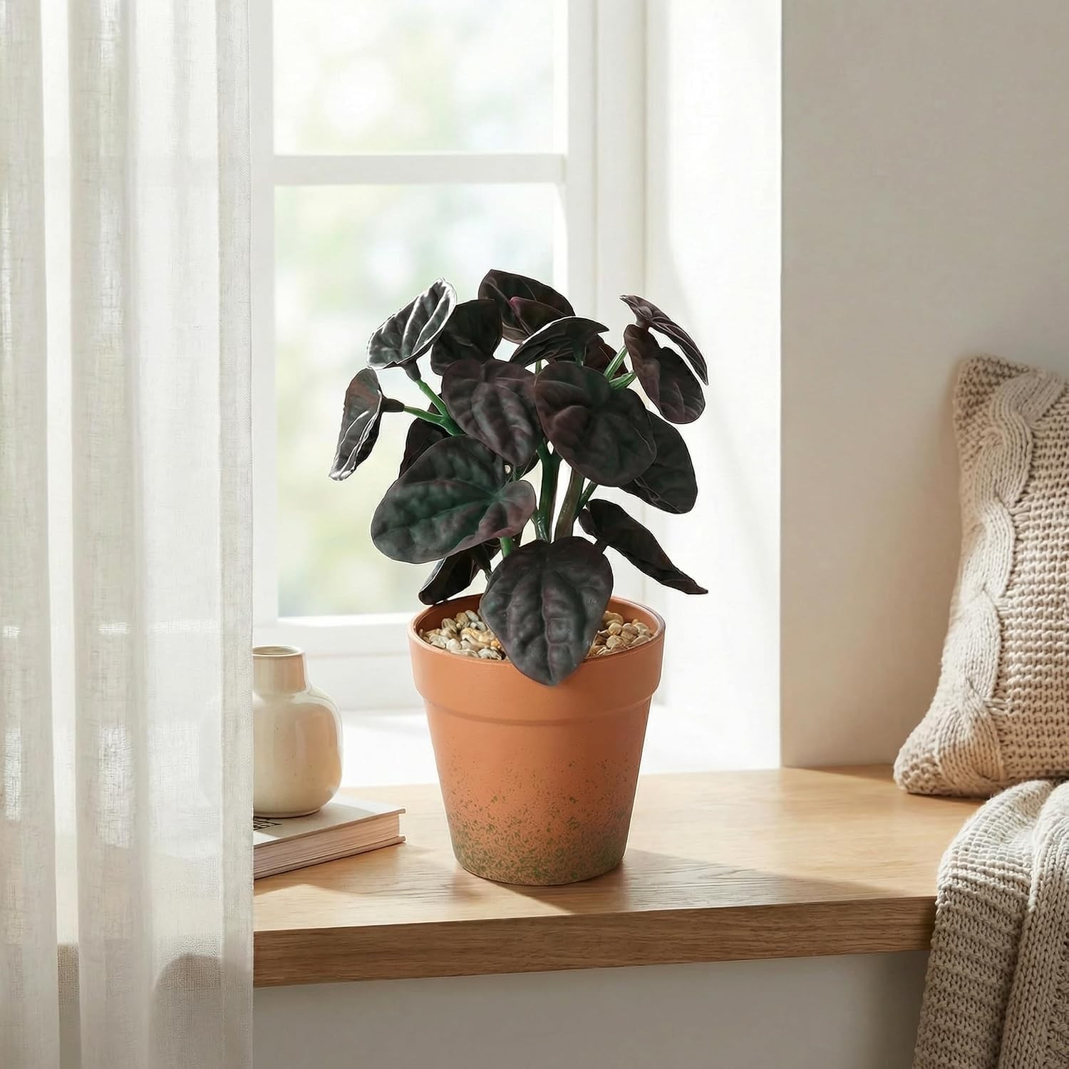 2 Pack 8in Purple Red Artificial Faux Peperomia Potted Plant