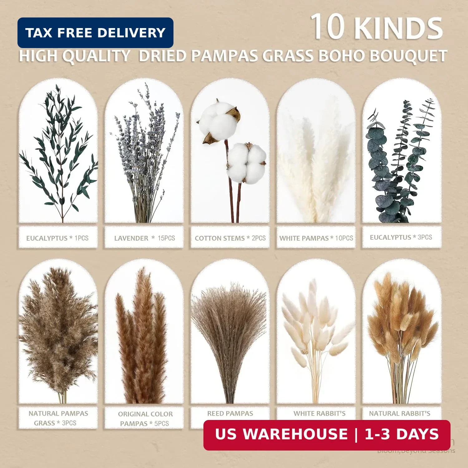 Natural Dried Flower Bouquet – Pampas Grass, Cotton Stems, Bunny Tails Grass, Eu