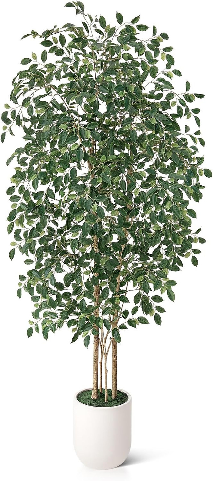 7FT Faux Ficus Tree in White Planter – Realistic Indoor Floor Plant Decor