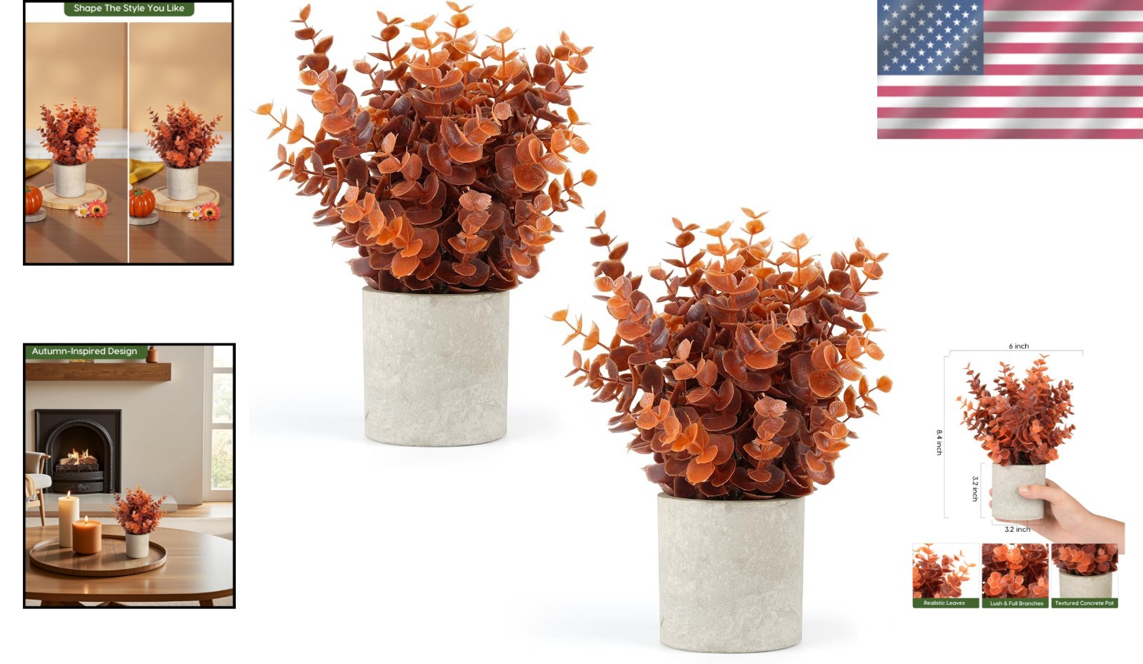 Mini Eucalyptus Plants for Living Room – 2 Pack