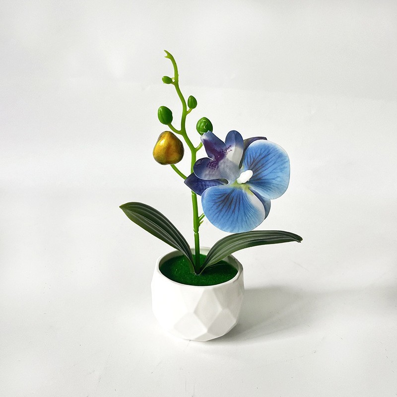 Phalaenopsis Floral Reproduction in Diamond Designed Pot for Contemporary Space