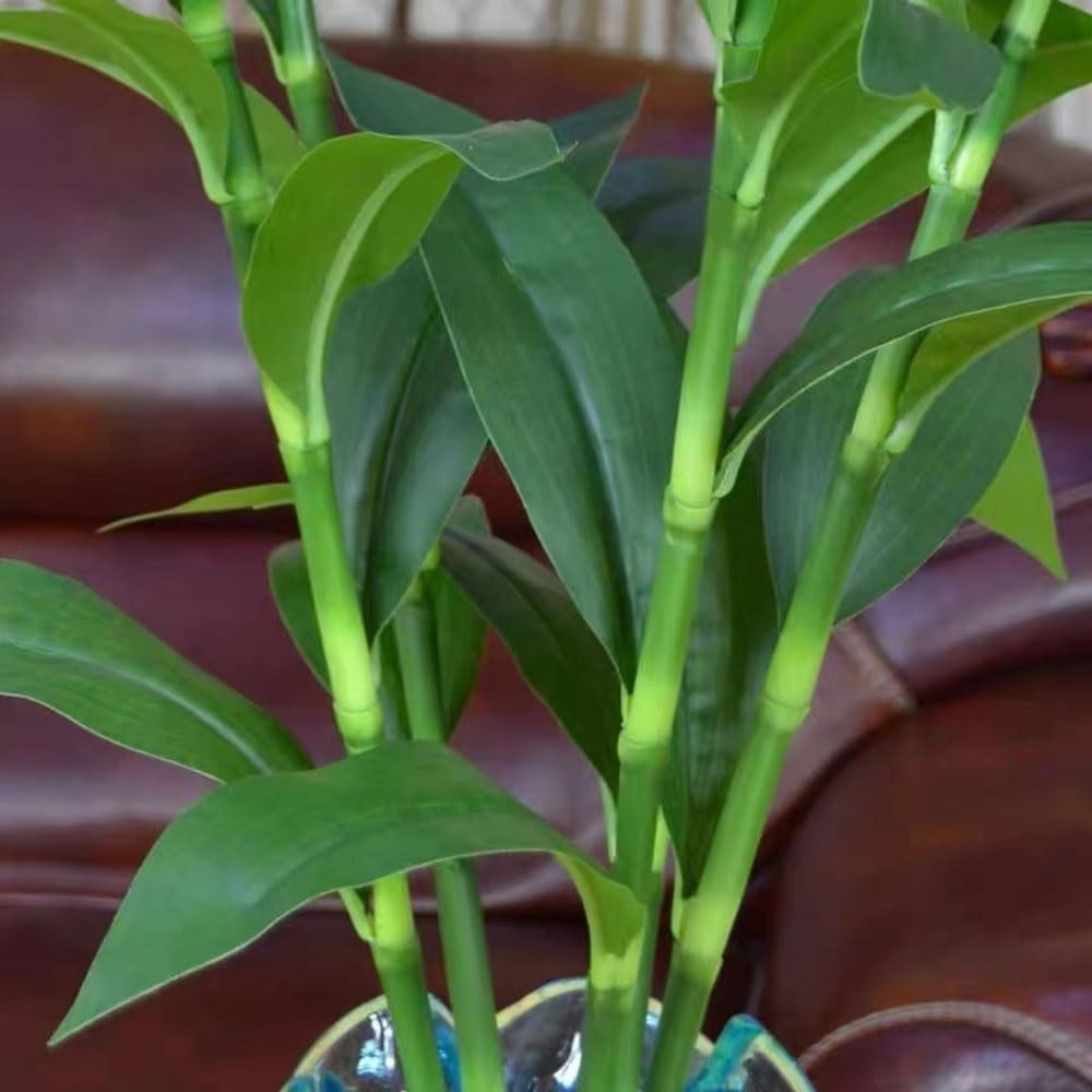 36 Inches Lucky Artificial Branches Faux Sticks Tropical Greenery Plants for …
