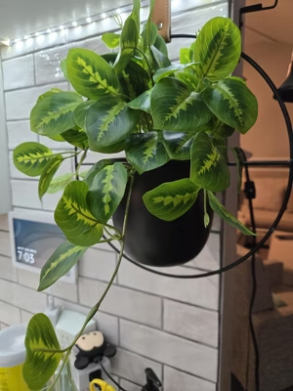 Trailing Prayer Artificial Plant – Room Essentials Fast delivery