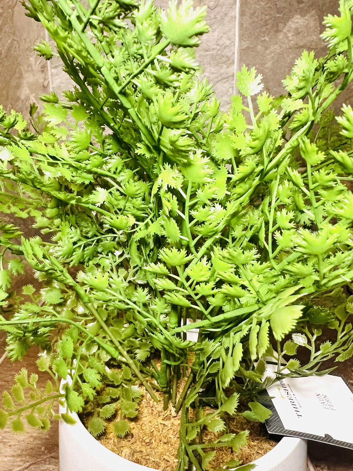 Threshold 14” Faux Fern Modern Ceramic Pot Artificial Arrangement – New