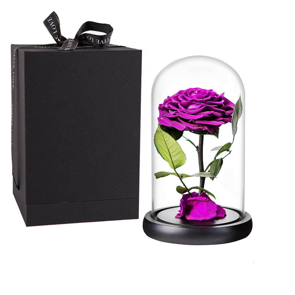 Preserved Flowers Handmade Purple Rose in Glass Dome 9 inch Romantic Gift