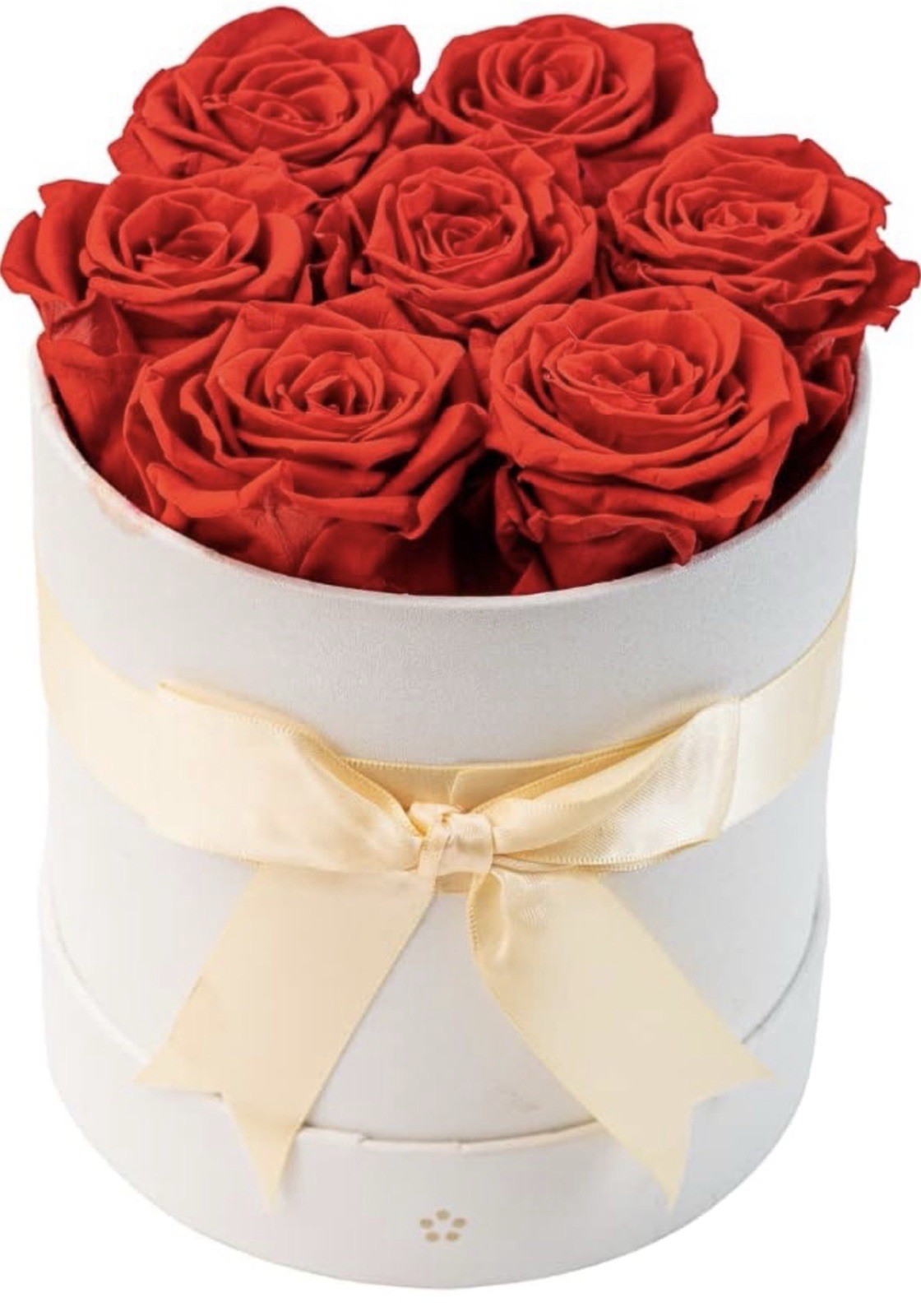 AROMEO Red Roses A Gift That Lasts Preserved Fresh Flowers
