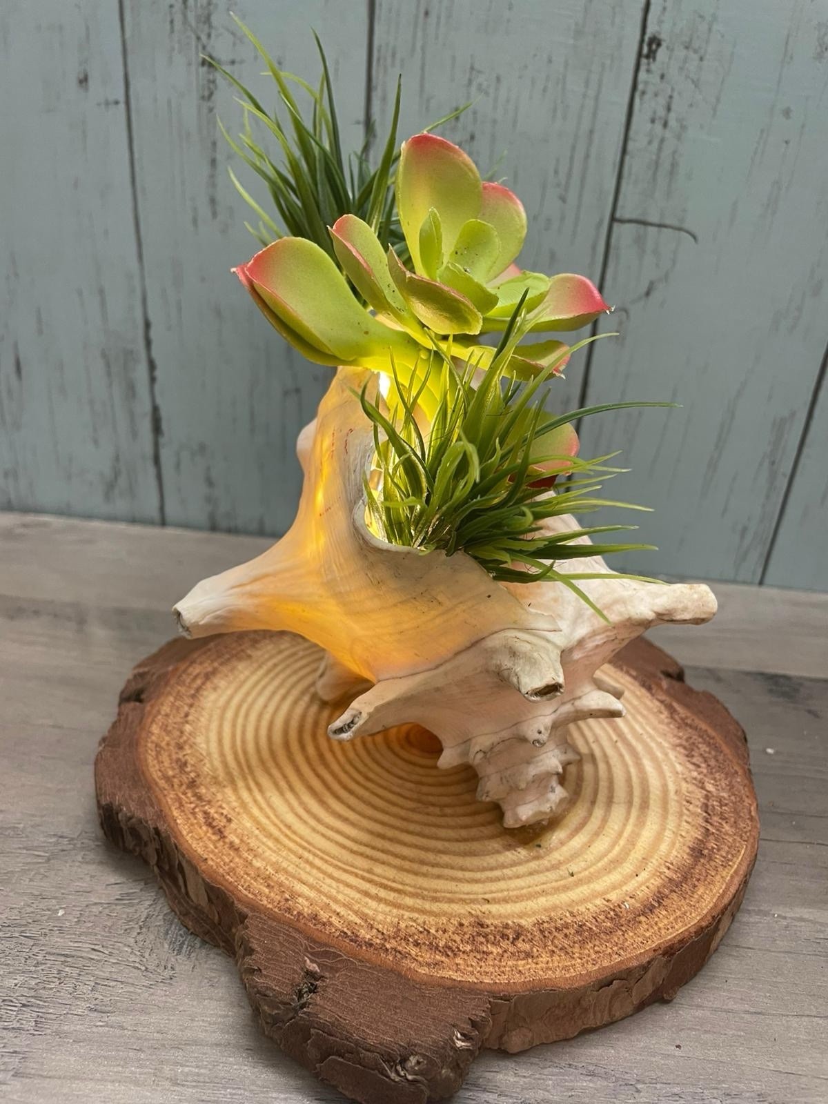 Artificial Succulent Arrangement in Shell on Wood Base Green Pink White