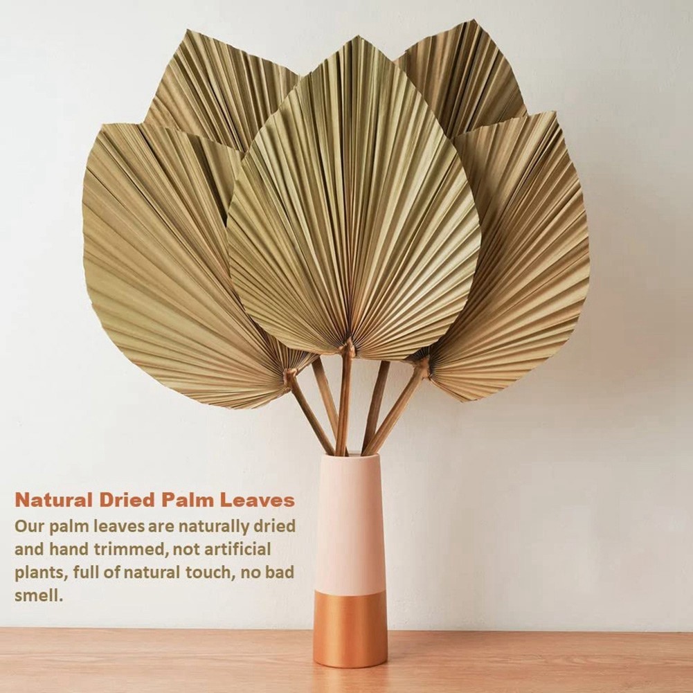 4 Pieces Natural Dried Palm Leaves are Perfect for Palm Leaf Decor, Boho7049