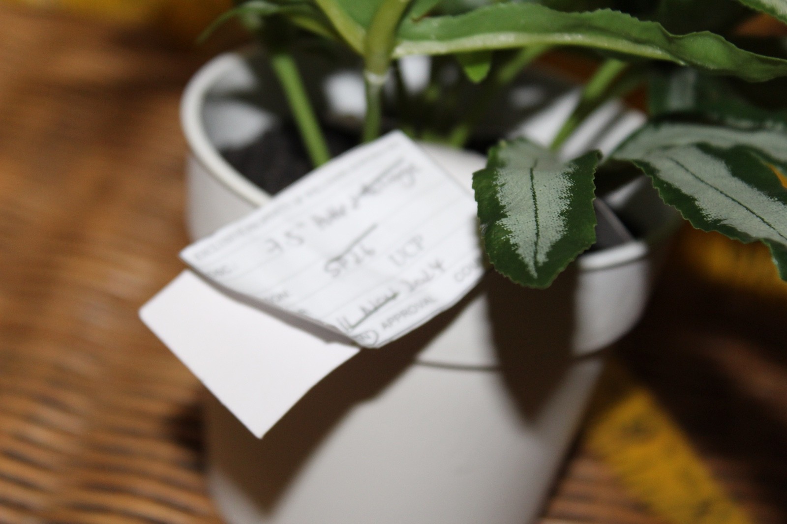 Williams Sonoma Artificial Potted Foliage Plant