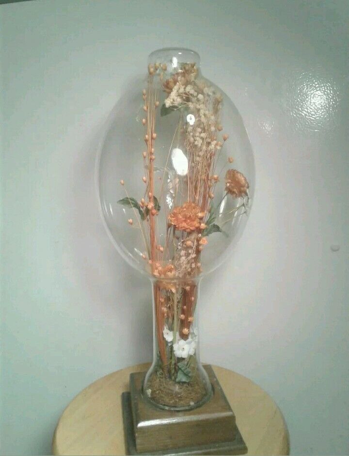 Vintage 1970s Dried Floral Home Decor Glass Display w/Wood Base