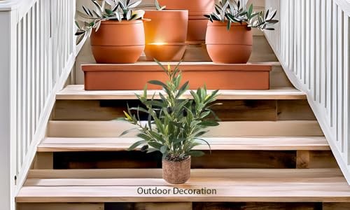 Indoor Fake Olive Plant 12 inch Faux Silk Leaves with Black Rustic Plant a