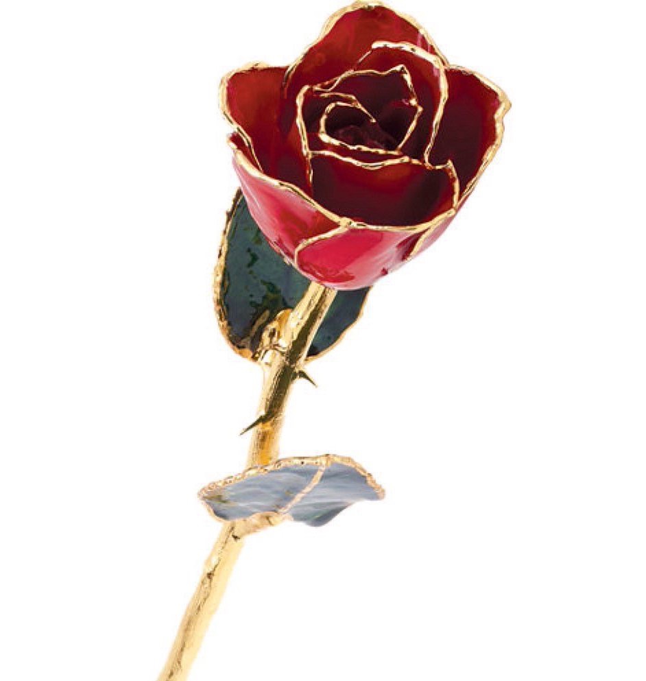 24K Yellow Gold Trimmed White Rose April Diamond White Real Long Stem Rose