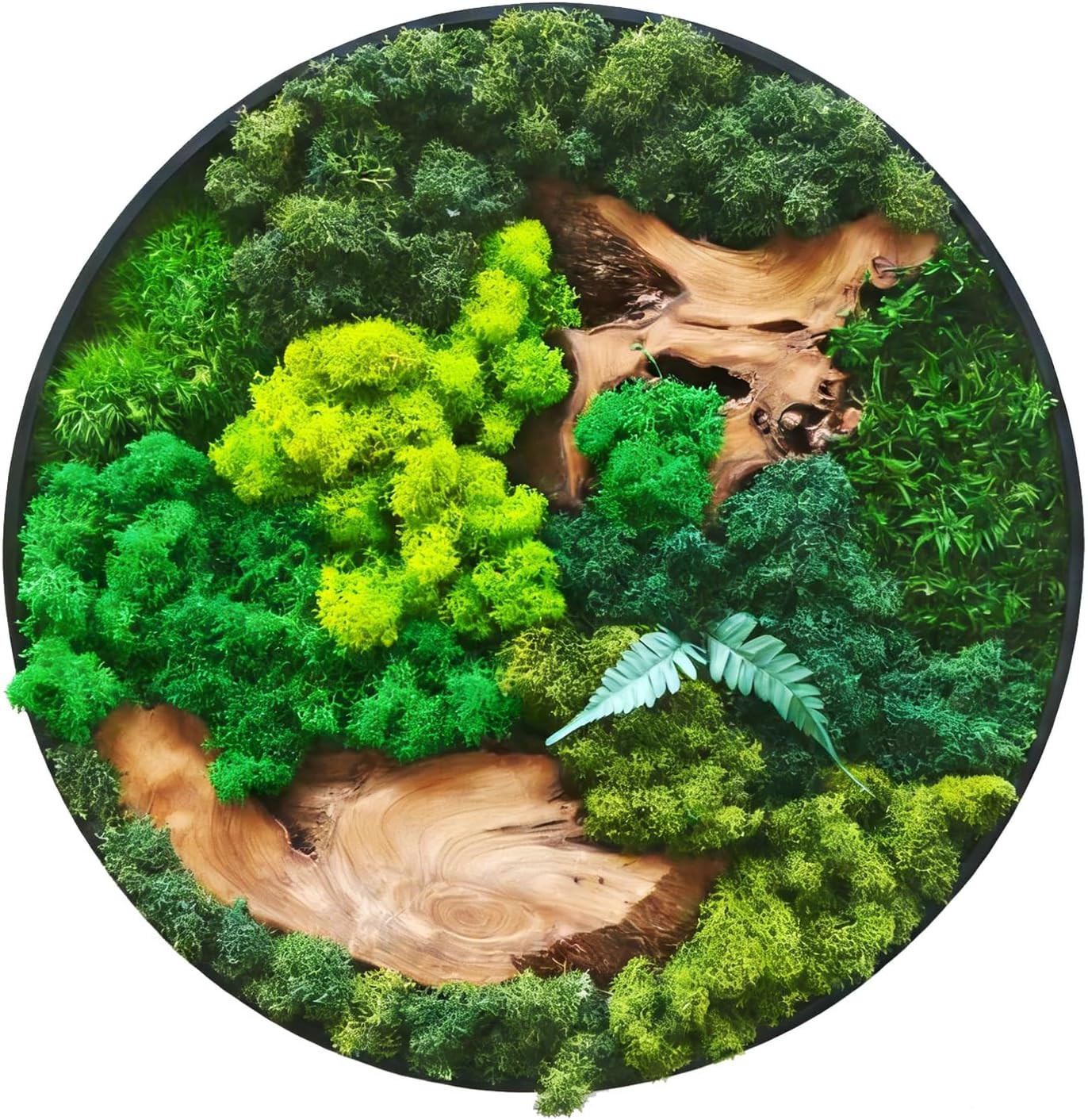Handcrafted Round Moss Wall Art – Rustic Nature Decor for Home & Office