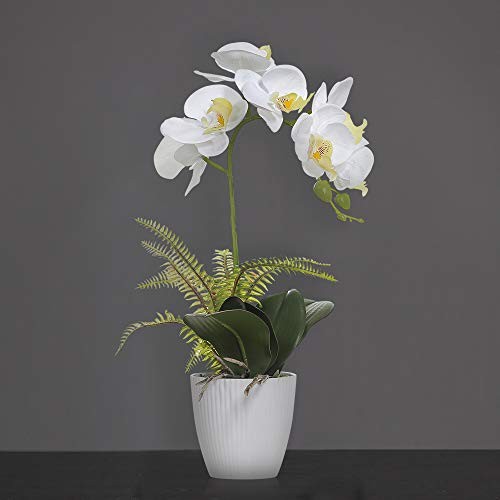 Olrla White Orchid Artificial Flower in Pot, Faux Phaleanopsis Orchid Bonsia for