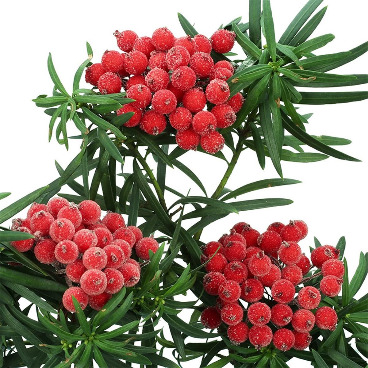 200PCS Artificial Holly Berries Wired Stems Artificial Flowers 12MM Frosted F…
