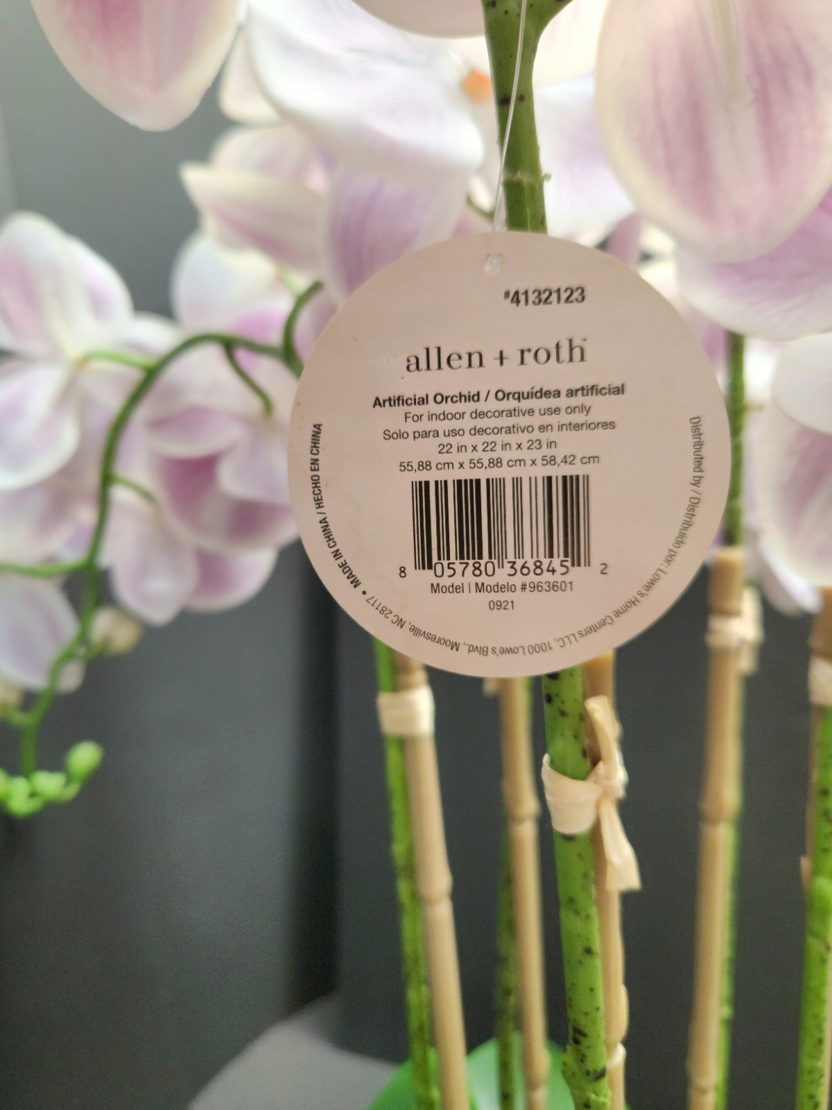 Allen + Roth Silk Artificial Orchid – New