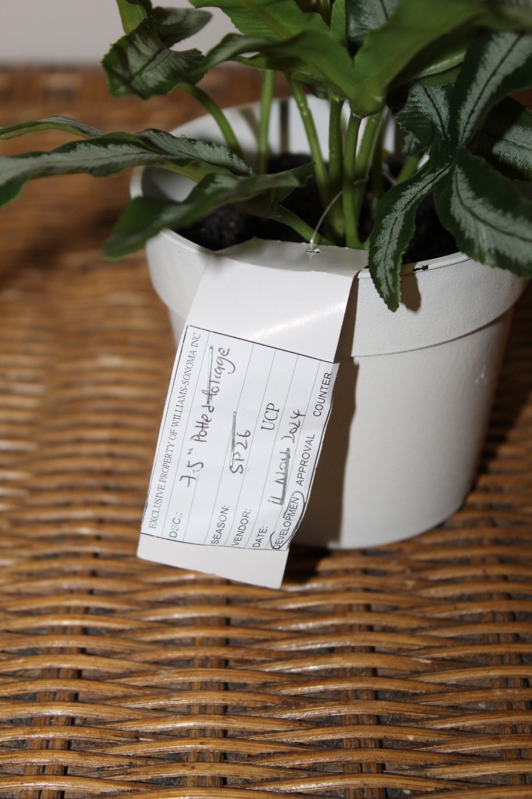 Williams Sonoma Artificial Potted Foliage Plant