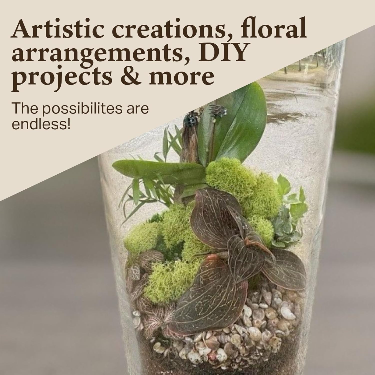 Preserved Reindeer Moss – Moss for Crafts, Home Decor, Art, Design & DIY Project