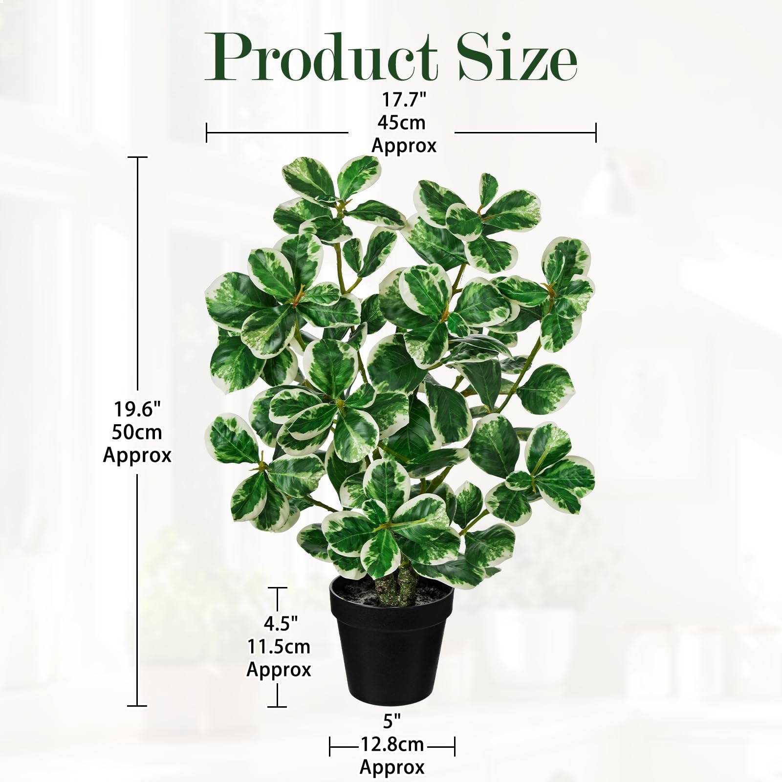 Artificial Rubber Tree Plant Black Pot Faux Ficus Cream White Edge 20 Inch