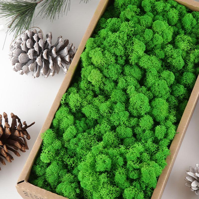 New Preserved Decorative Moss Natural New Preserved Moss For Home Decoration US