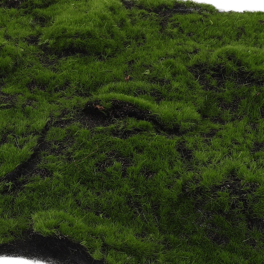 Green Artificial Moss for Crafts Indoor Faux Moss Mat for Planter Decoration