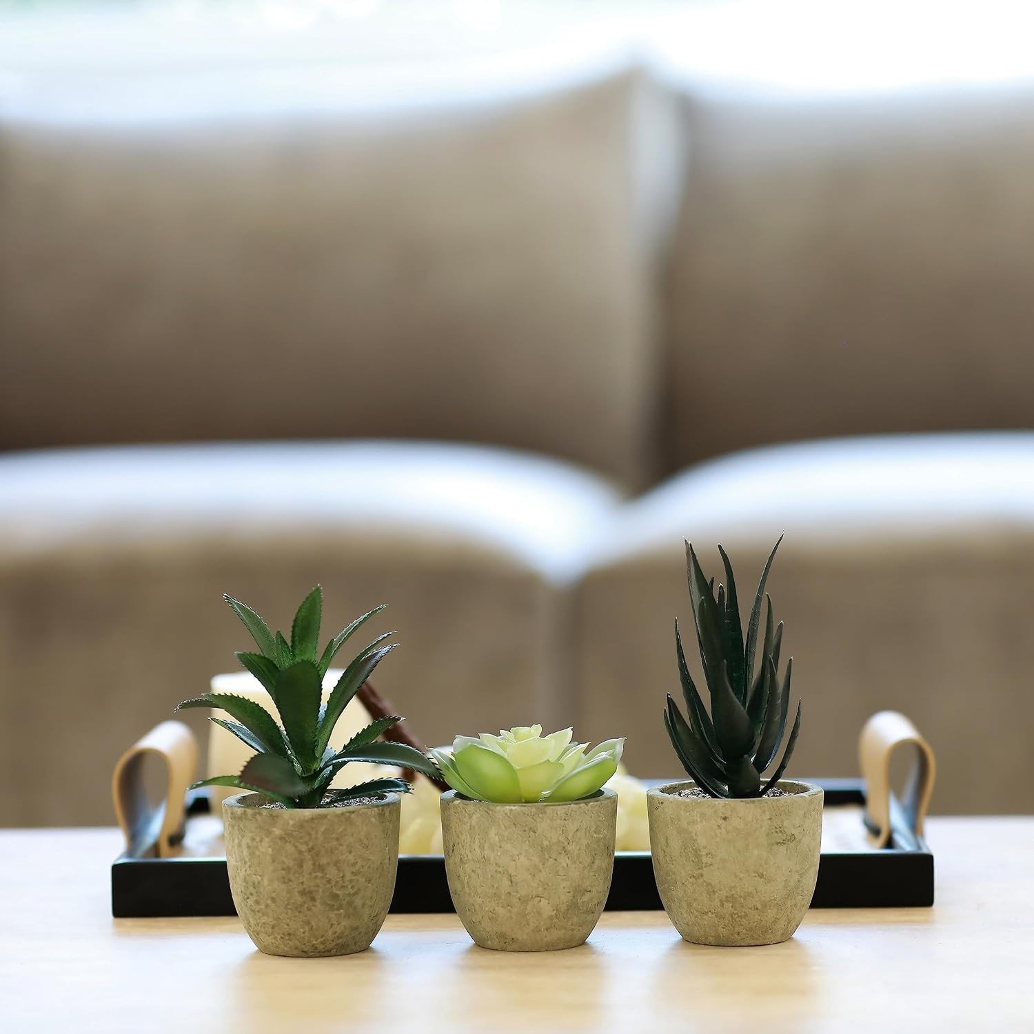 Memeaty Set of 5 Small Artificial Plants | Fake Rosemary Peppermint Succulents