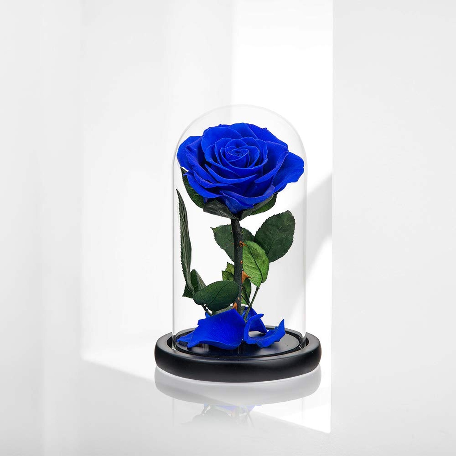 Preserved Rose Blue Real Rose in Glass Dome, Roses Never Withered Flower Gift…