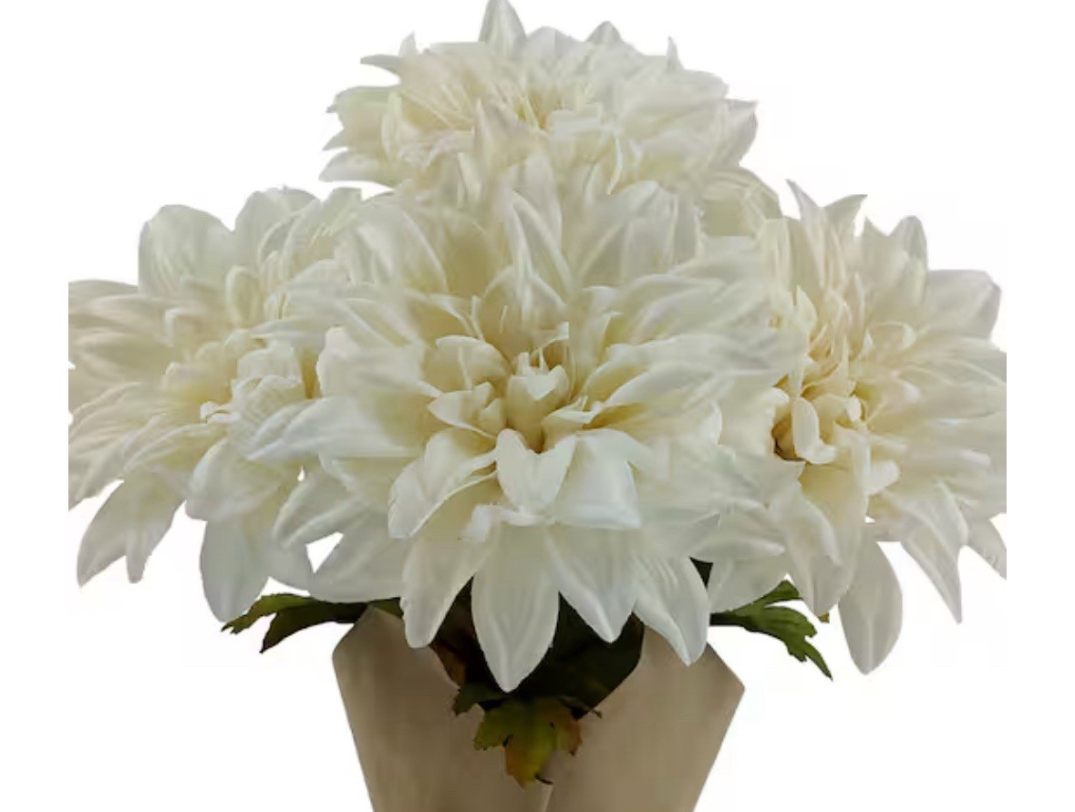 12” Potted Dark White Spider Mum by Ashland Table Centerpiece New