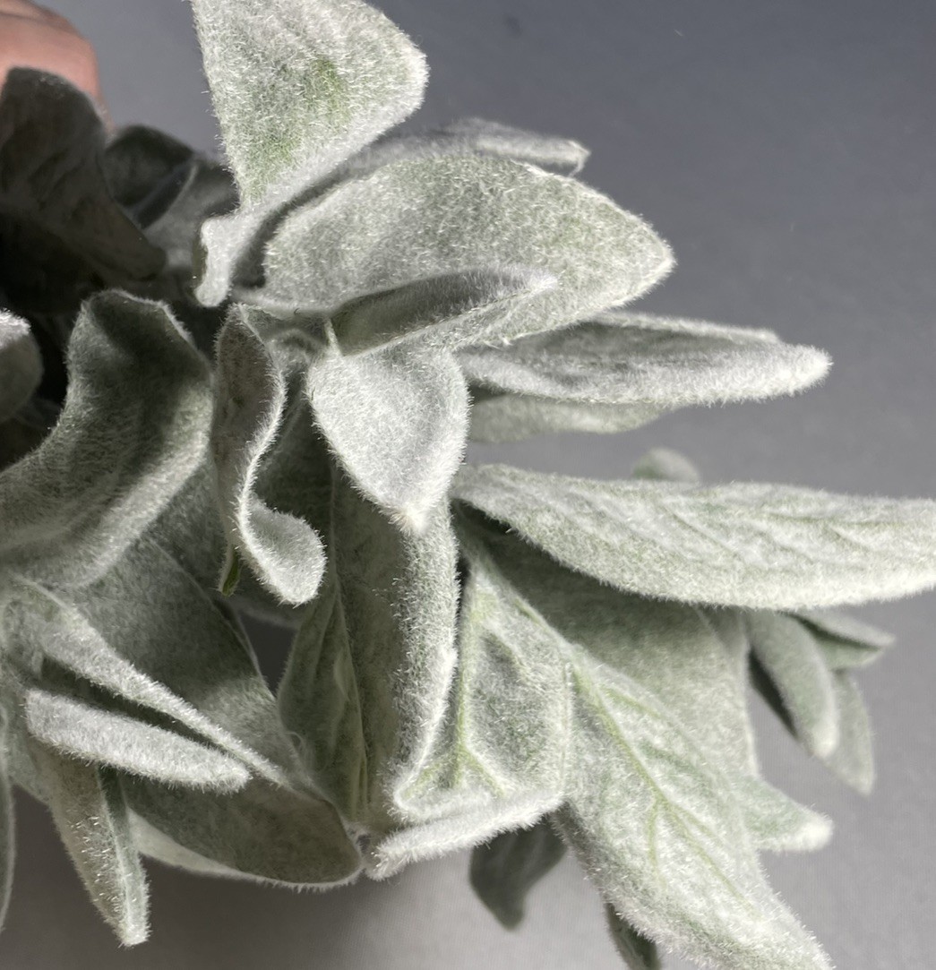 Lamb’s Ear Floral Stem Artificial Hobby Lobby