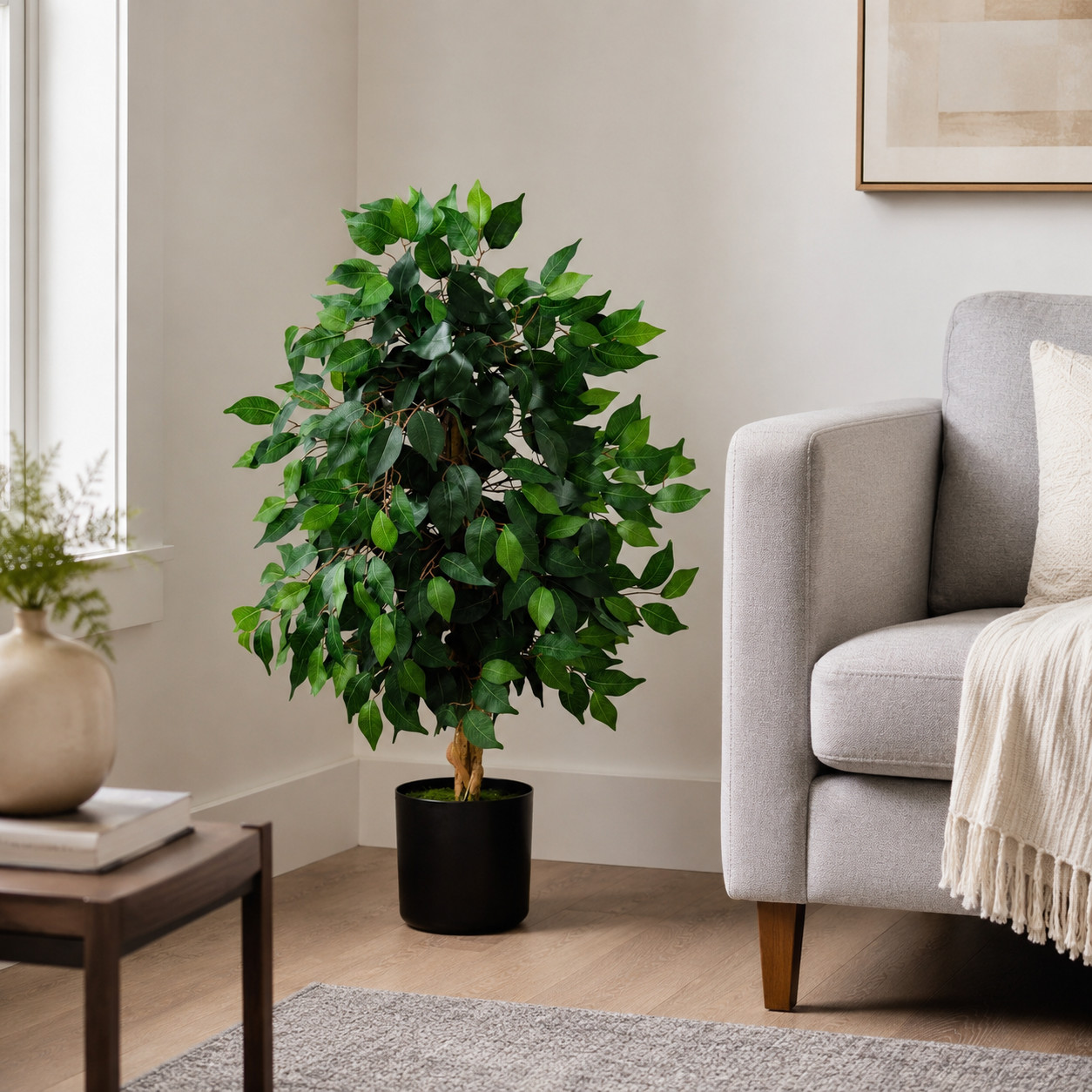 3′ Ficus Tree x 3 w/378 Lvs