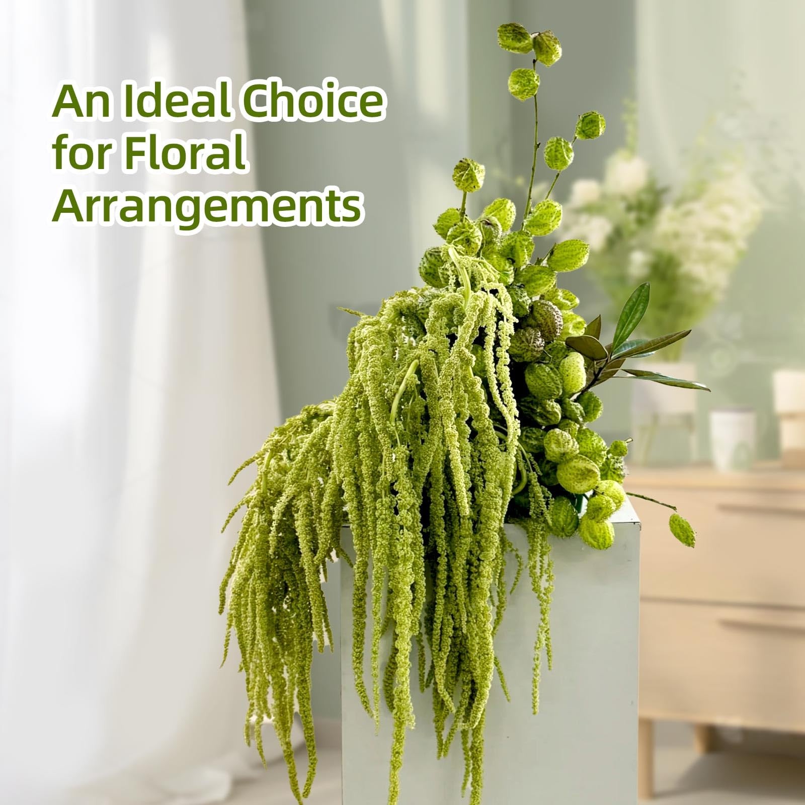 5 PCS Dried Amaranthus Hanging Flowers Natural Preserved Chartreuse 24 Inch