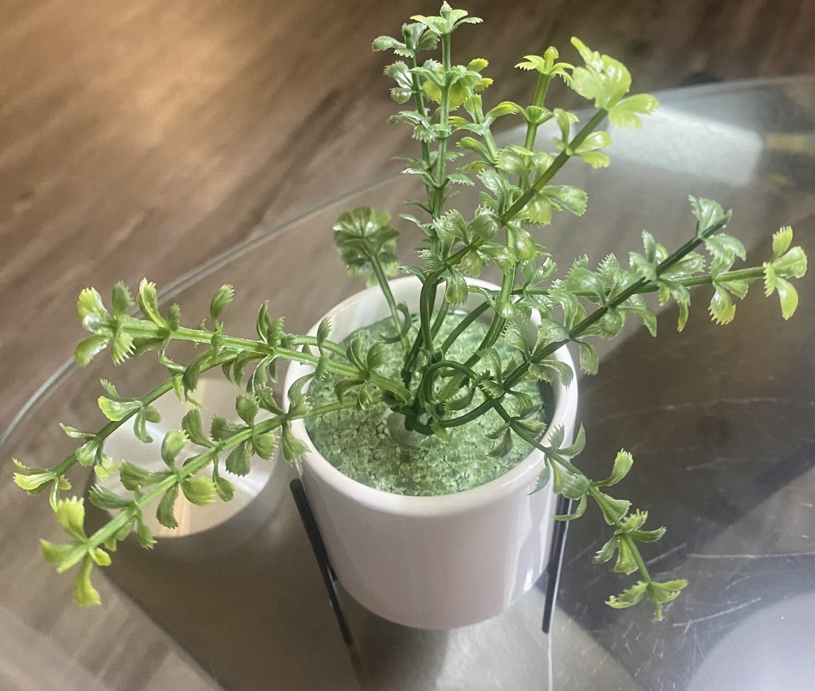 Artificial Succulent In white Ceramic Planter 4′ Pot with Iron StandNew