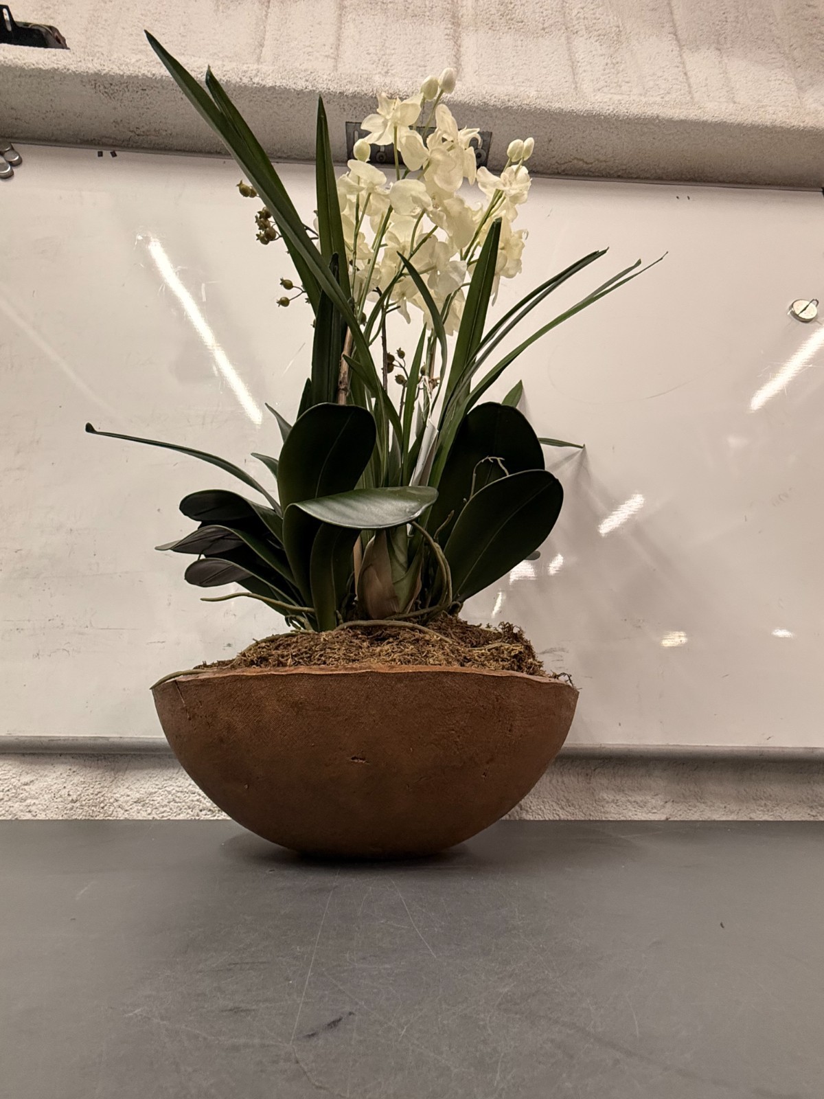 Uttermost Hand-Painted Garden of Moth Orchid Planter, Natural Brown Dish # 60039