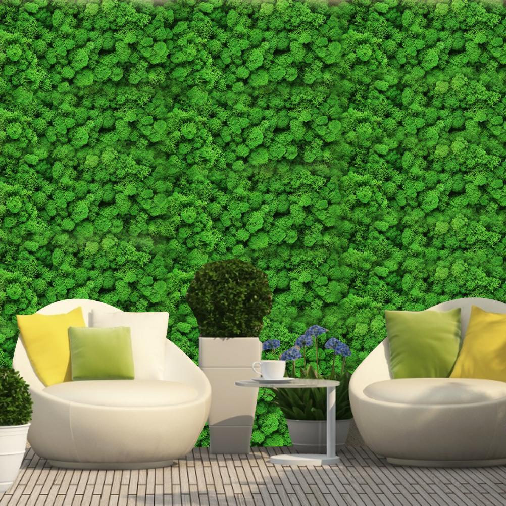 New Preserved Decorative Moss Natural New Preserved Moss For Home Decoration US