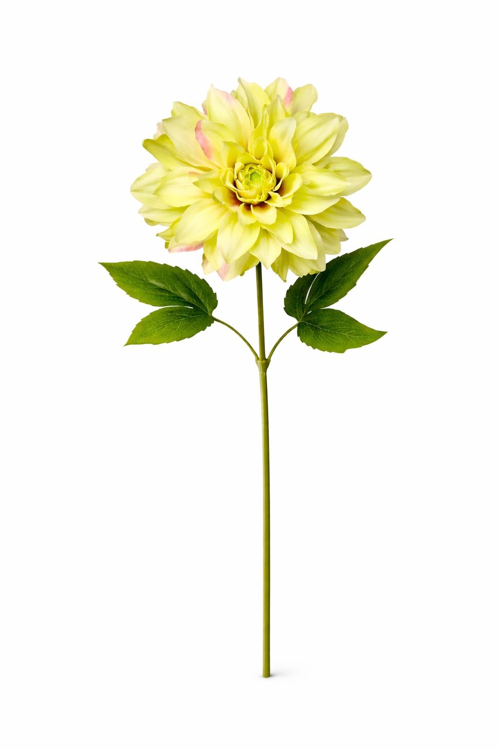 Green Dahlia Stem Faux Flower 24 Inch 5 Inch Bloom Light Green Artificial Dahlia