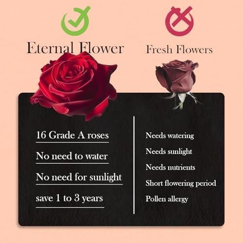 27 Preserved Red Roses in Heart Box – Lasts 2 Years, Forever Flowers for Gifts