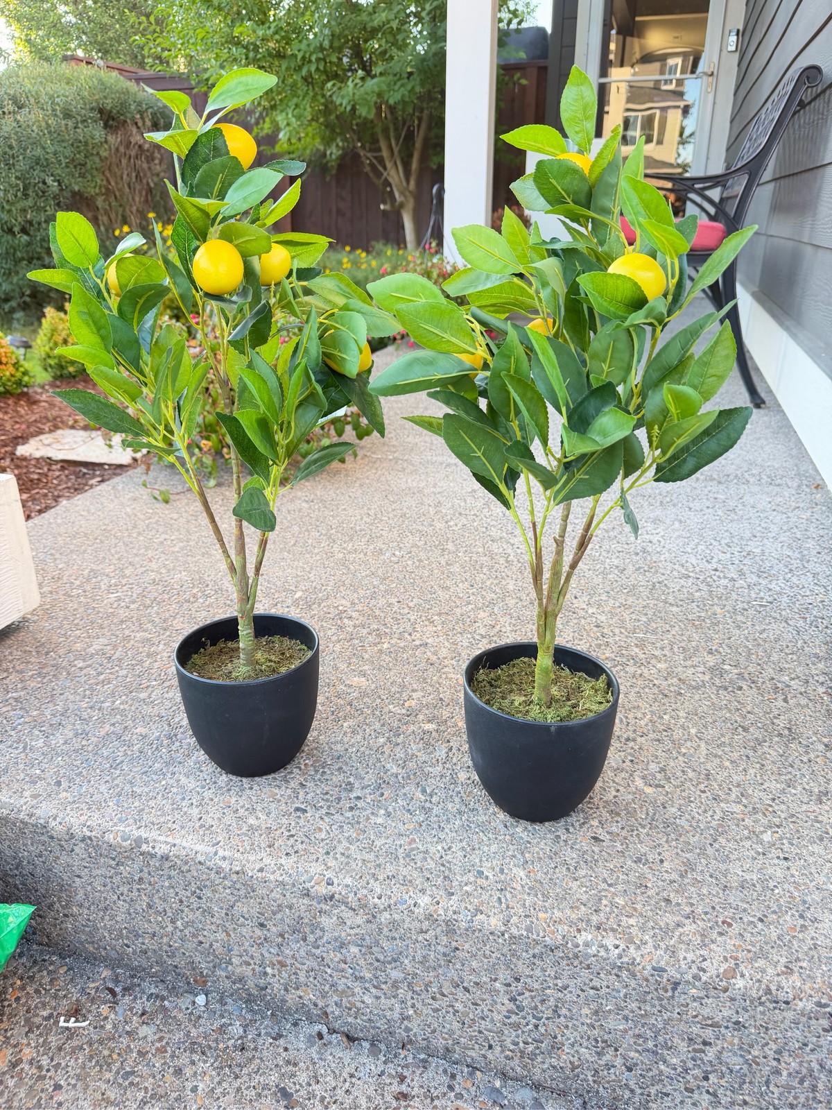 Home Flourish Artificial Lemon Tree Set Faux Citrus Plant Home Decor