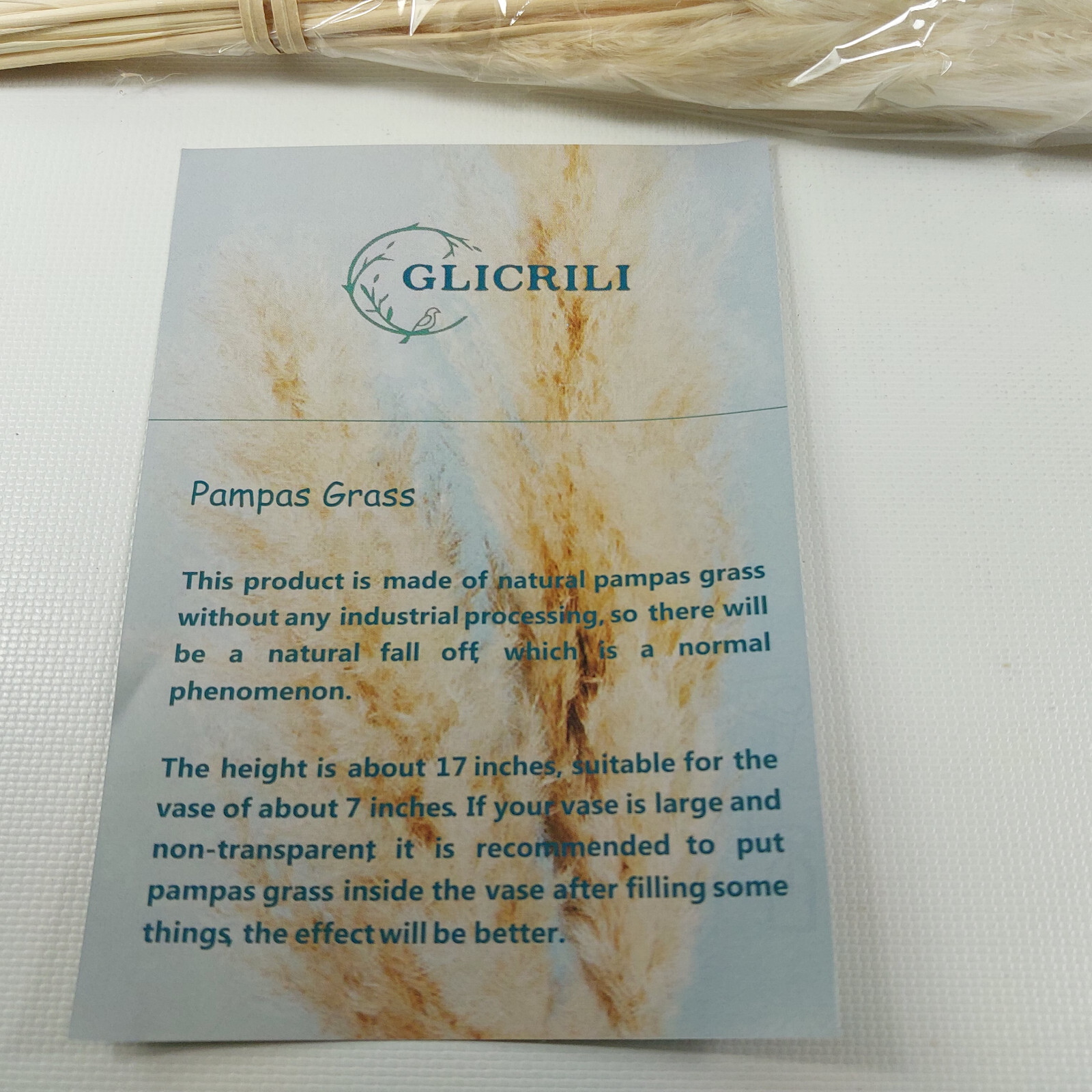 GLICRILI 65 Piece Natural Dried Pampas Grass Bouquet