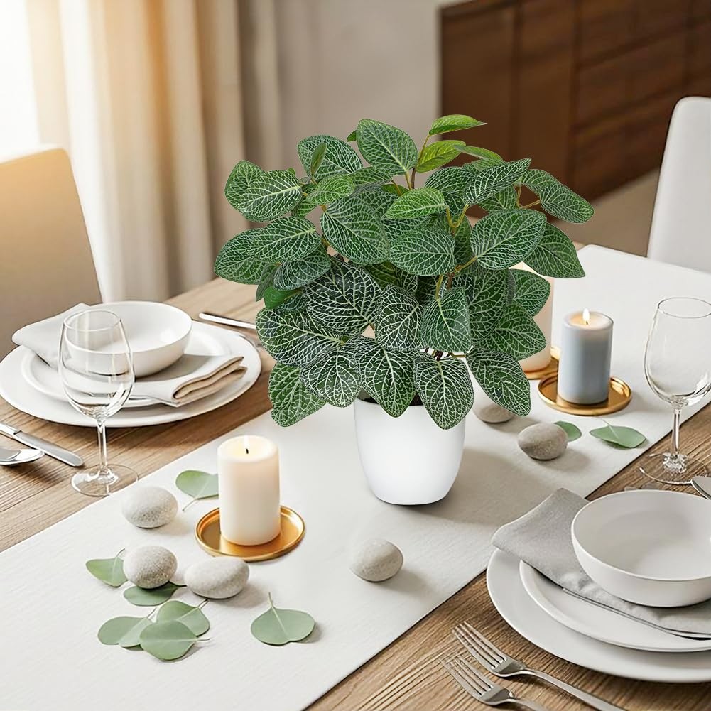 Artificial Fittonia Plants in White Pot – 15.7″ Fake Nerve Plant Indoor Silk …