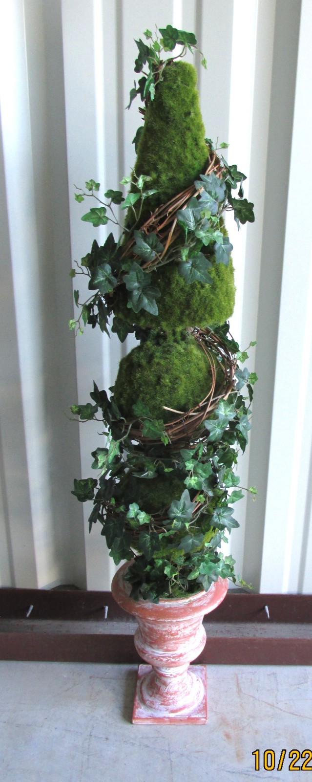 Topiary Spiral Ivy Tree Beautiful Pot 36 in tall