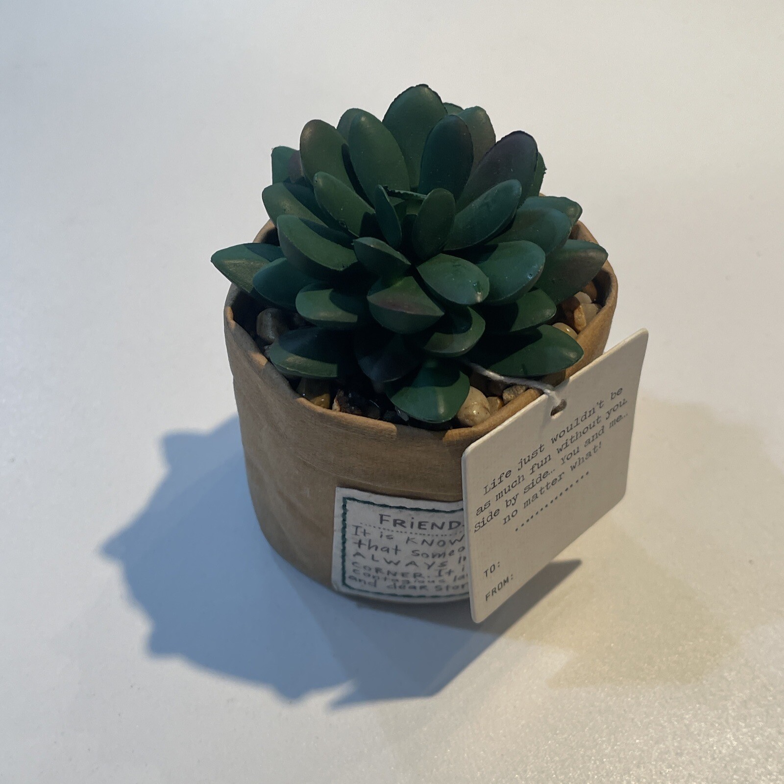 Demdaco Green Succulent Plant Kind Friendship 3 x 5 Acrylic Artificial Flower