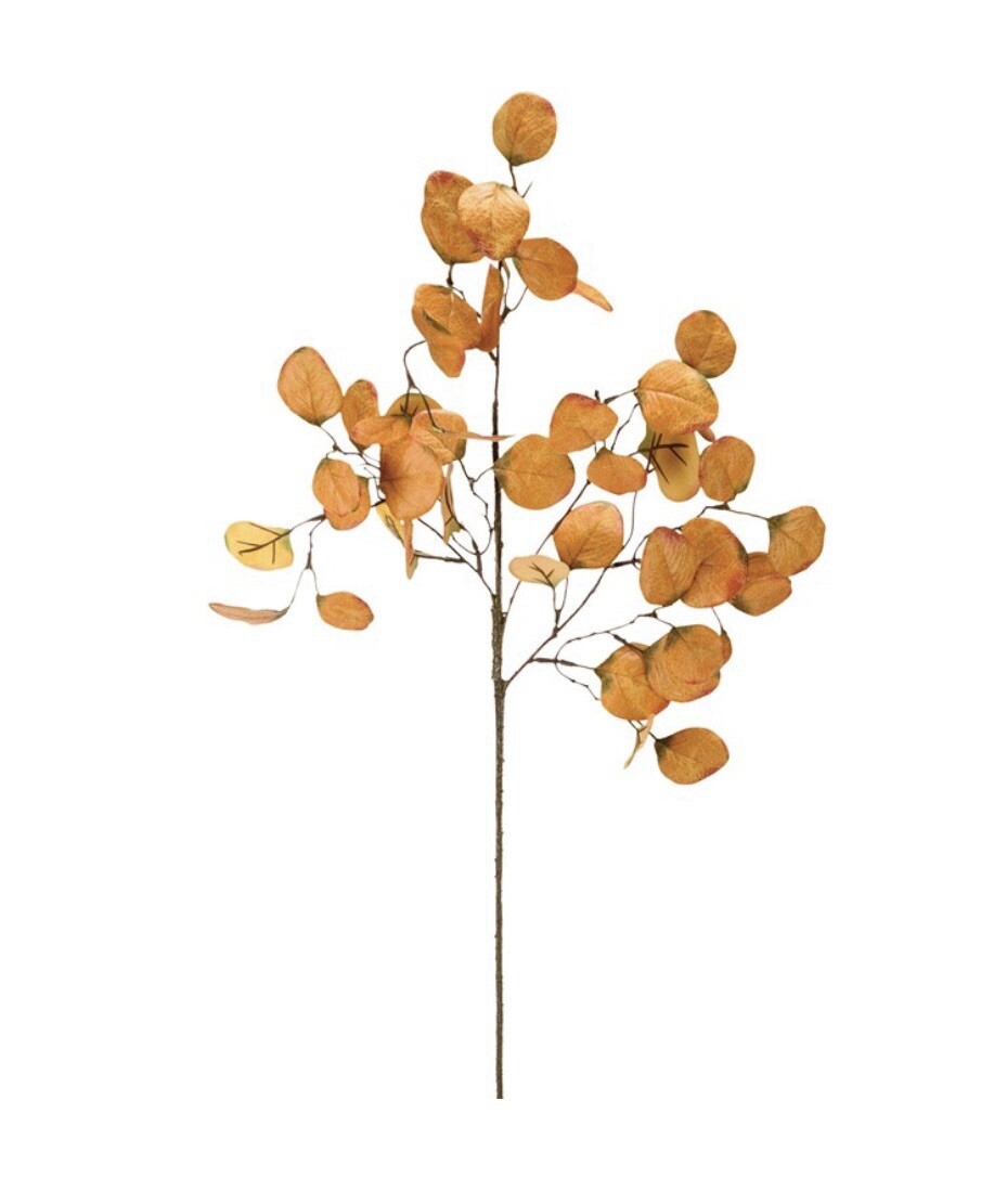 Gold Eucalyptus Pick, 28” One Pick Only