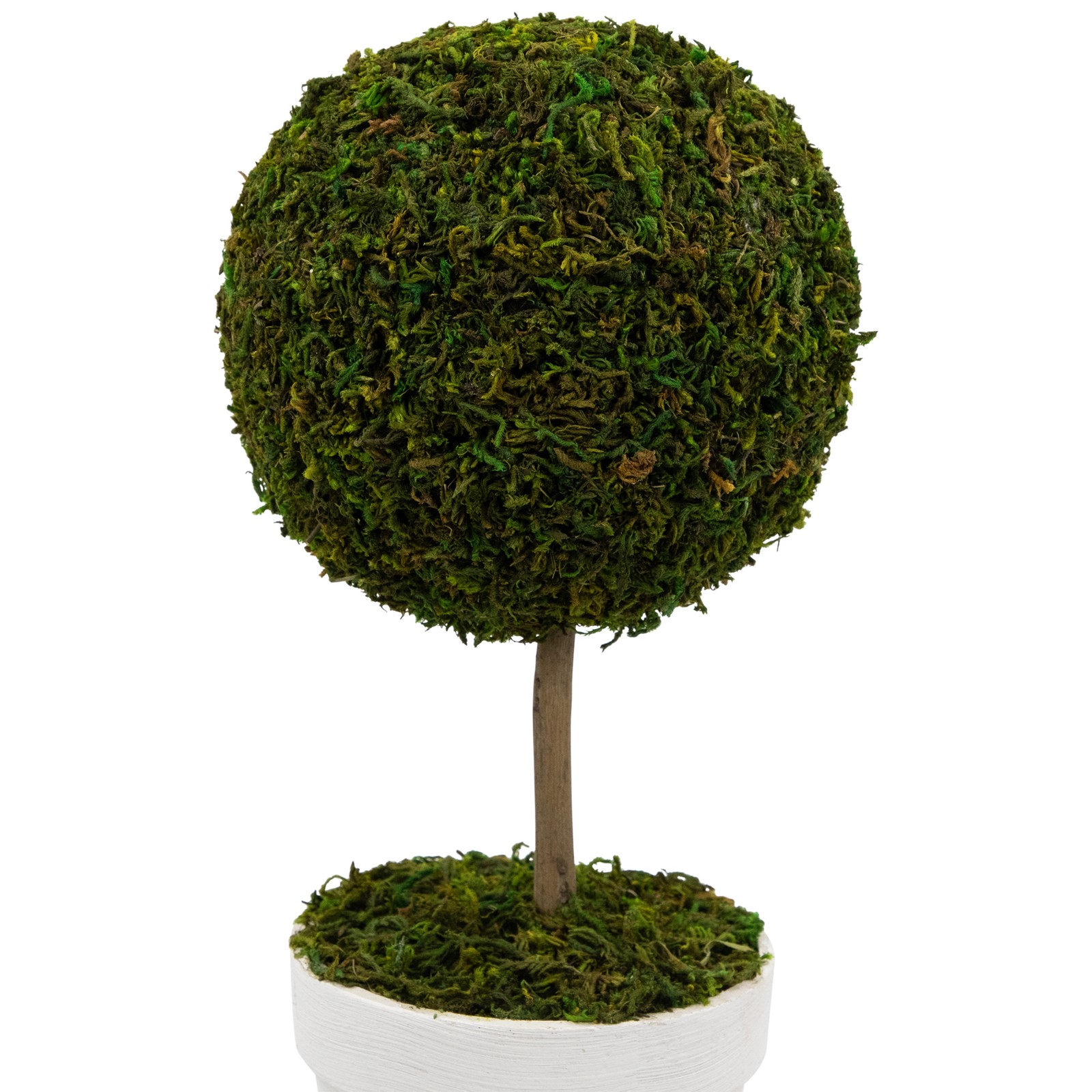 Northlight 15″ Green Reindeer Moss Ball Potted Artificial Spring Topiary Tree