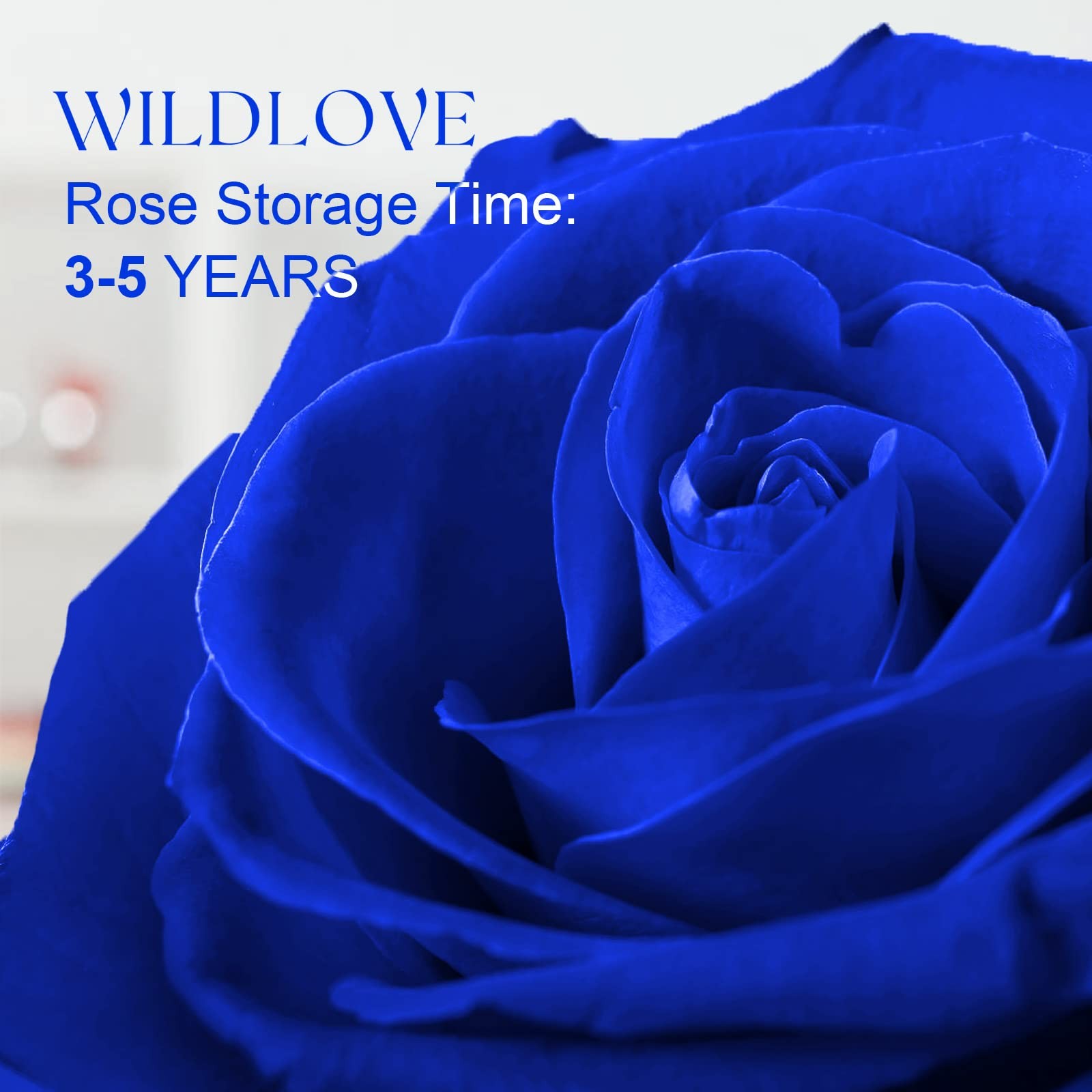 Forever Blue Rose with Heart Necklace, Preserved Flowers Gifts for Mom, Wife …